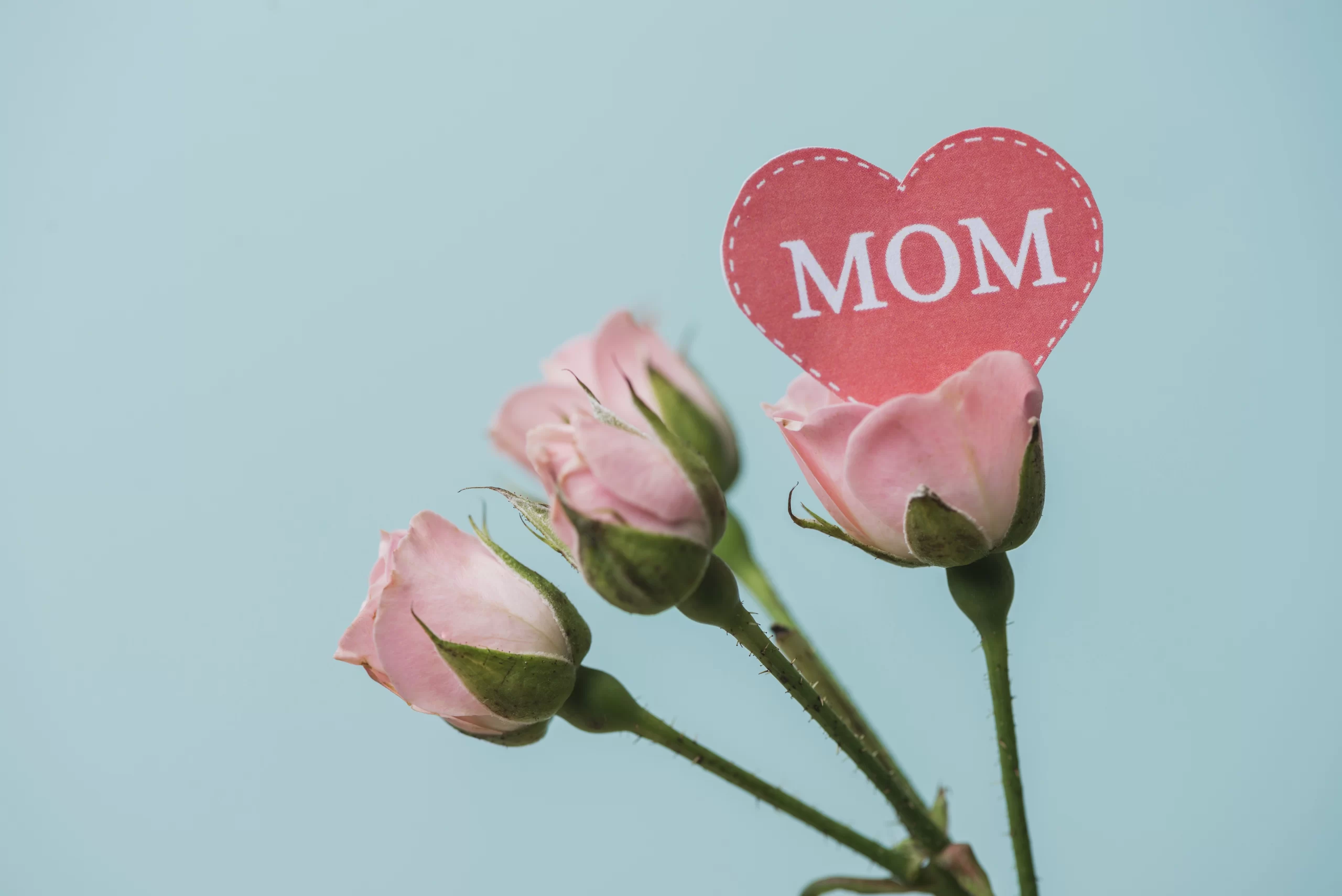 Bonne Fête des Mères !